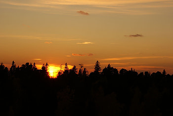 *** Sunset over the forest ***, nature, skay, forest, sunset, dark HD wallpaper