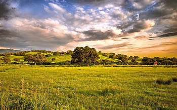 Nature, Trees, Grass, Mountains, Sun, Greens, Plain HD wallpaper