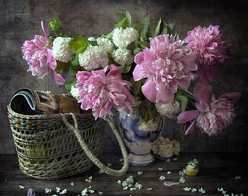 pink flowers, basket, pink, graphy, flowers, beauty HD wallpaper