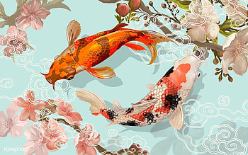 Japanese Koi Fish Painting, Fish Art HD wallpaper