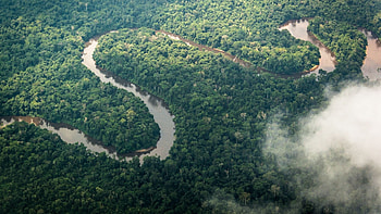 Ultimate gorilla safari, Gorilla safari, Congo-Brazzaville, Congo HD wallpaper