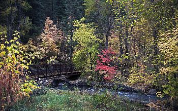 Autumn Colors, river, colors, bridge, autumn, forests, beautiful, nature HD wallpaper