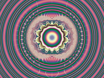 Pink circles, circles, pink, fractal, fractals HD wallpaper
