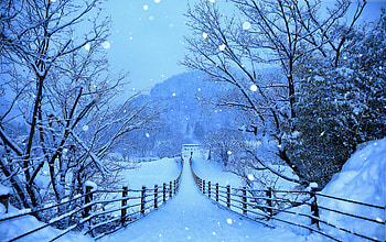 Winter Roads Of Japan , winter, roads, nature, japan HD wallpaper