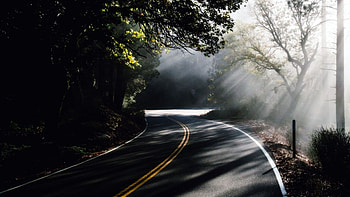 Turn, road, nature, light HD wallpaper