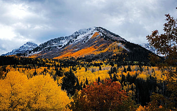 Scenic Views in Alpine, Utah, fall, autumn, clouds, landscape, trees, colors, sky, usa HD wallpaper