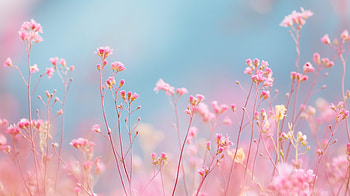 Dreamy Pink Floral Bliss, floral, spring HD wallpaper