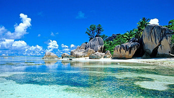Seychelles Beach, sea, sky, sand, palm trees, clouds HD wallpaper