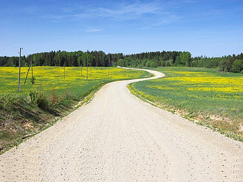 Curved Country Road, curved, road, sky, land HD wallpaper