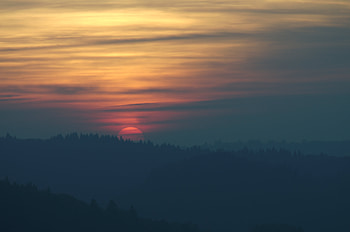 Nature, Trees, Sunset, Sky, Sun, Spruce, Fir HD wallpaper