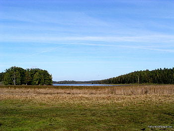 Beautiful Flat Landscape, blue sky, field, landscape, trees, grass, lake, beauty HD wallpaper