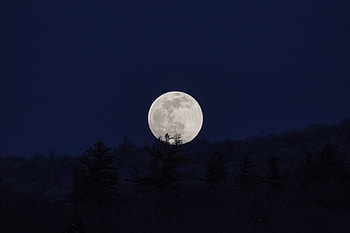 Nature, Night, Moon, Dark, Full Moon HD wallpaper