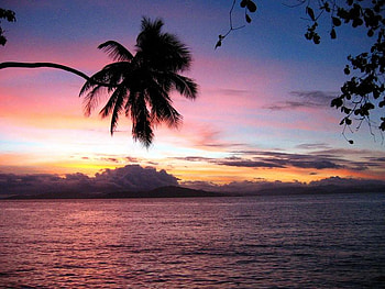 Fiji, island, palm, tropical, paradise, sunset, ocean HD wallpaper