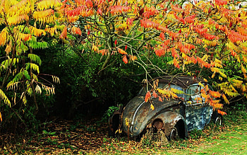 Rusty VW beetle HD wallpaper