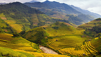 Captivating Vietnam, Exotic destinations, Charming towns, Timeless beauty HD wallpaper