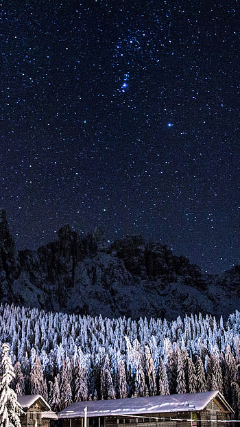 Starry Winter Night, snow, forest, star, starry sky, sky, night, earth, graphy, winter, winter night, night snow HD phone wallpaper