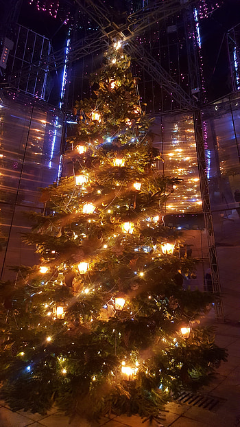 Chrismas celebration HD phone wallpaper