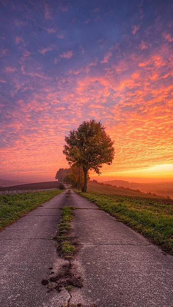 Beautiful For, Road HD phone wallpaper
