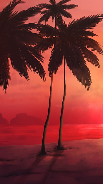 Sunset tropical beach, Vibrant colors HD phone wallpaper