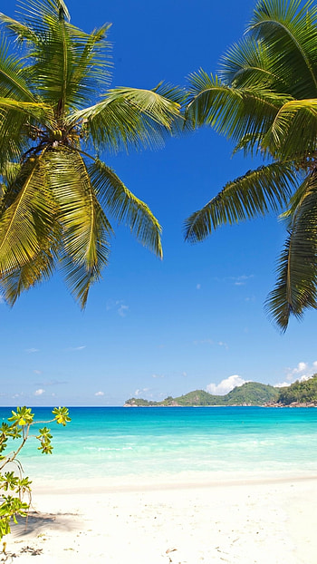 Earth beach, Grenada, Travels expert, Caribbean HD phone wallpaper