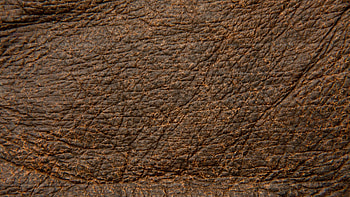 Dark Brown Leather HD wallpaper