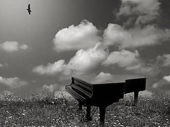 LET YOUR THOUGHTS FLY, creative, music, thoughts, piano, bird, sky, fly, ideas HD wallpaper