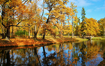 Autumn Park, autumn, bridge, water, park HD wallpaper