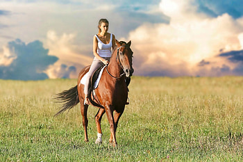 Slow Ride, cowgirls, horses, ranch, field, brunettes HD wallpaper