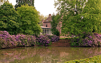 Nature, Flowers, Lilies, Park, House, Pond, Courtyard, Yard HD wallpaper