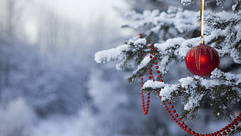 Christmas Live For Computer HD wallpaper