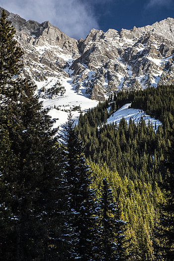 Landscape, Winter, Nature, Trees, Snow, Mountain, Forest HD phone wallpaper