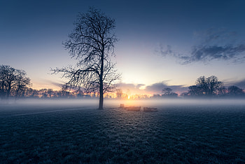 Early Morning Autumn Sunrise, autumn, nature, sunrise HD wallpaper