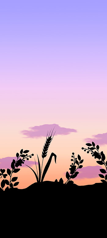 Pixel 6, afterglow, sky, Google, 13, Android, latest HD phone wallpaper