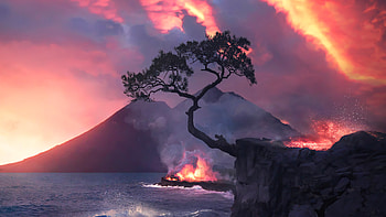 Destructed Tree In Burning World , artist, artwork, digital-art HD wallpaper