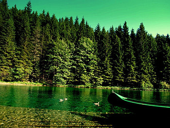 Green lake, boat, scenery, green, lake, tree HD wallpaper
