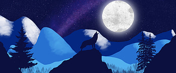 Moonlight, sky, Night, Moon, Wolf HD wallpaper