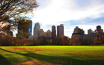 Cities, Houses, Park, Evening, Foliage, New York HD wallpaper
