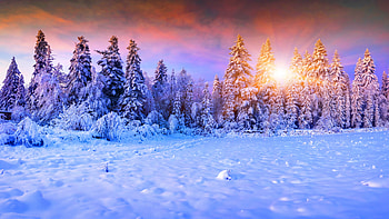 Winter landscape, rays, winter, colorful, frost, landscape, cold, beautiful, sunrise, snow, trees, sky, sun, sunset HD wallpaper