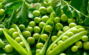 Food, Vegetables HD wallpaper