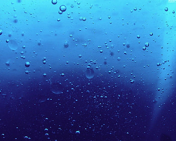 A bit of lonely, lluvia, gotas HD wallpaper