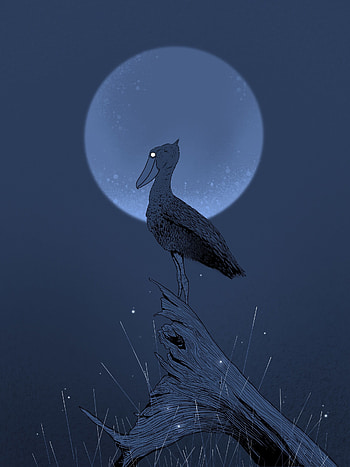 Art, Night, Moon, Bird, Stump, Pelican HD phone wallpaper