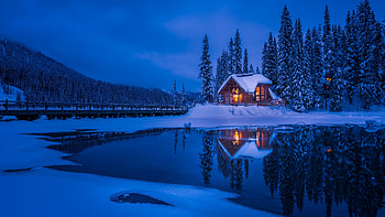 The winter, winter, pretty, narture, house, snow, tree, lake, nice HD wallpaper