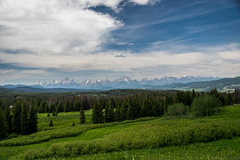 Landscape, Nature, Trees, Grass, Mountains, Bush, Forest HD wallpaper