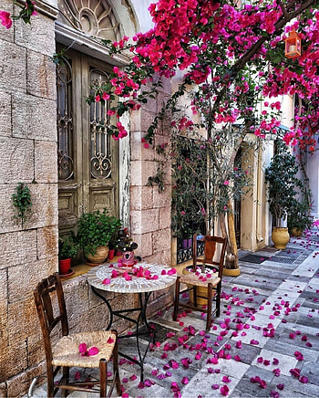 Beautiful outdoor cafe, petal, furniture HD phone wallpaper