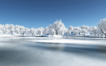 Landscape, Nature, Trees, Snow HD wallpaper