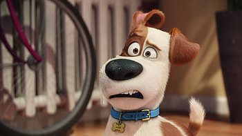 The Secrete Life of Pets Movie , the-secret-life-of-pets, movies, animated-movies, cartoons HD wallpaper