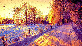 Beautiful Snow Forest Winter Sun Trees Nature Sunny Road Sunset Sunshine Amazing 6 Plus HD wallpaper
