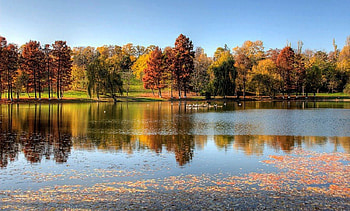 Lake Surrounded by Autumn's Beauty, autumn, leaves, reflection, lake HD wallpaper
