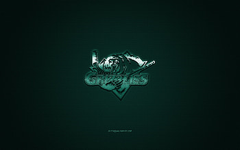 Utah Grizzlies, American hockey club, ECHL, green logo, green carbon fiber background, East Coast Hockey League, hockey, Utah, USA, Utah Grizzlies logo HD wallpaper