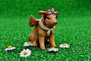 Miscellanea, Miscellaneous, Statuette, Pig, Pilot HD wallpaper